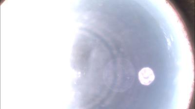 immagine della webcam nei dintorni di Costigliole d'Asti: webcam Felizzano