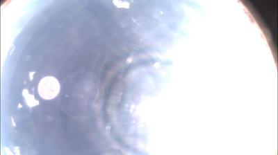 immagine della webcam nei dintorni di Pecetto di Valenza: webcam Felizzano