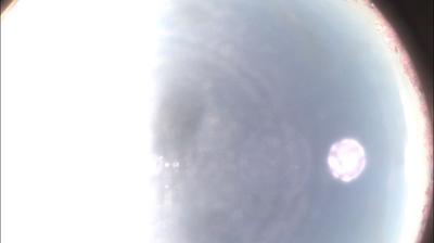 immagine della webcam nei dintorni di Coniolo: webcam Felizzano