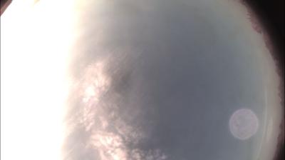 immagine della webcam nei dintorni di Cavatore: webcam Felizzano