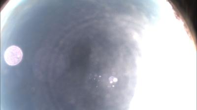 immagine della webcam nei dintorni di Pecetto di Valenza: webcam Felizzano