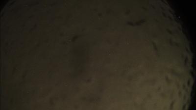 immagine della webcam nei dintorni di Predosa: webcam Felizzano