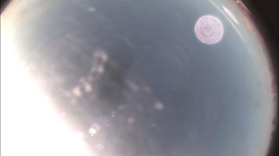 immagine della webcam nei dintorni di Costigliole d'Asti: webcam Felizzano