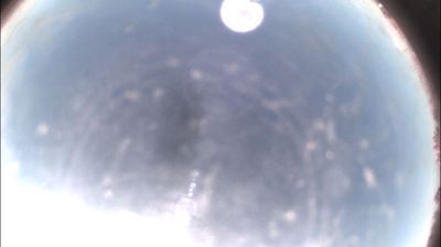 immagine della webcam nei dintorni di Asti: webcam Felizzano