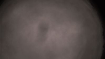 immagine della webcam nei dintorni di Valenza: webcam Felizzano