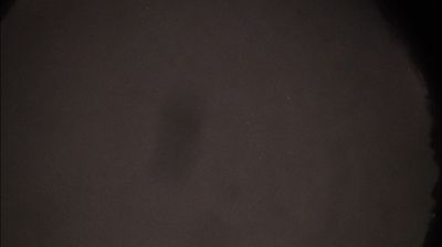 immagine della webcam nei dintorni di Cossano Belbo: webcam Felizzano