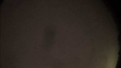 immagine della webcam nei dintorni di Valenza: webcam Felizzano