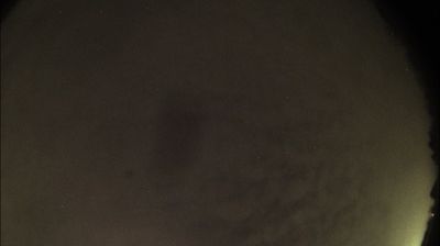 immagine della webcam nei dintorni di Pecetto di Valenza: webcam Felizzano