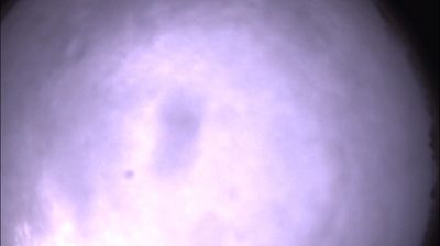 immagine della webcam nei dintorni di Coniolo: webcam Felizzano