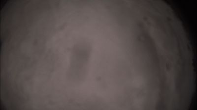 immagine della webcam nei dintorni di Pozzolo Formigaro: webcam Felizzano