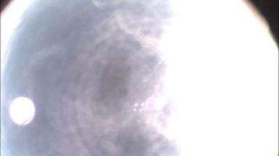 immagine della webcam nei dintorni di Pozzolo Formigaro: webcam Felizzano