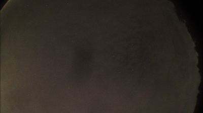 immagine della webcam nei dintorni di Casale Monferrato: webcam Felizzano