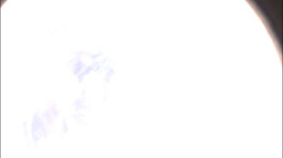 immagine della webcam nei dintorni di Coniolo: webcam Felizzano