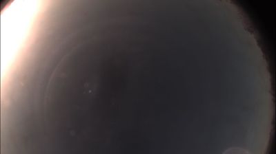 immagine della webcam nei dintorni di Casale Monferrato: webcam Felizzano