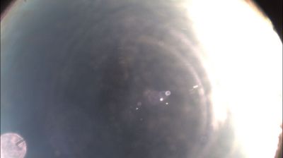 immagine della webcam nei dintorni di Casale Monferrato: webcam Felizzano