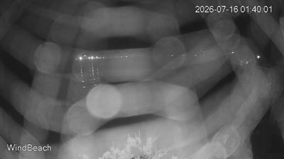 immagine della webcam nei dintorni di Orbetello: webcam Fonteblanda
