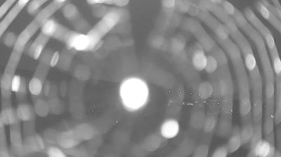 immagine della webcam nei dintorni di Seregno: webcam Senna Comasco