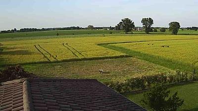 immagine della webcam nei dintorni di Novi di Modena: webcam Suzzara