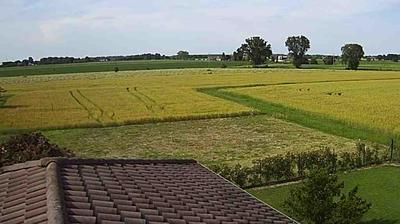 immagine della webcam nei dintorni di Rolo: webcam Suzzara