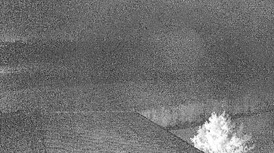 immagine della webcam nei dintorni di Rodigo: webcam Suzzara