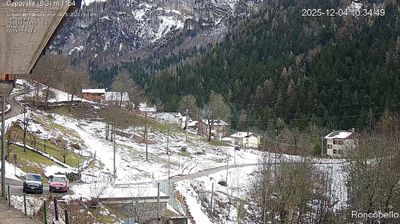 immagine della webcam nei dintorni di Spiazzi: webcam Roncobello