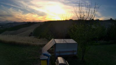 Preview delle webcam di Cossignano