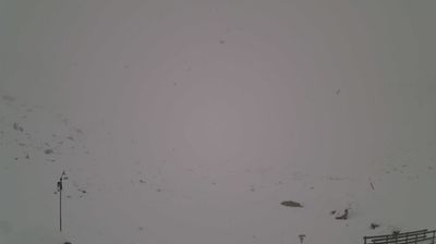 immagine della webcam nei dintorni di Ghiacciaio Presena: webcam Saviore dell'Adamello