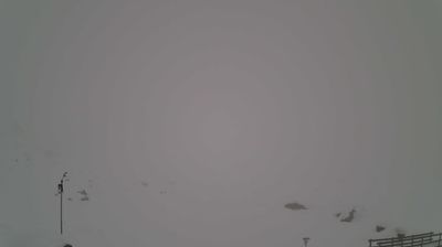 immagine della webcam nei dintorni di Bianzone: webcam Saviore dell'Adamello