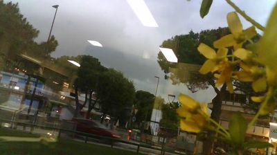 immagine della webcam nei dintorni di Carlino: webcam Lignano Pineta