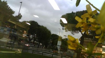 immagine della webcam nei dintorni di Medea: webcam Lignano Pineta