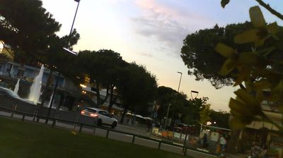 immagine della webcam nei dintorni di Caorle: webcam Lignano Pineta