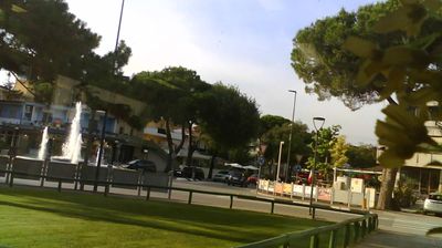 immagine della webcam nei dintorni di Portogruaro: webcam Lignano Pineta