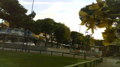 immagine della webcam nei dintorni di Caorle: webcam Lignano Pineta