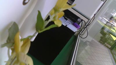immagine della webcam nei dintorni di Grado: webcam Lignano Pineta