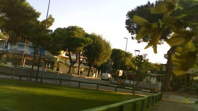 immagine della webcam nei dintorni di Caorle: webcam Lignano Pineta