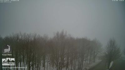 immagine della webcam nei dintorni di Cervarezza Terme: webcam Capanne di Sillano