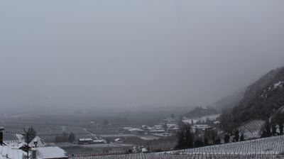 immagine della webcam nei dintorni di Avelengo: webcam Terlano