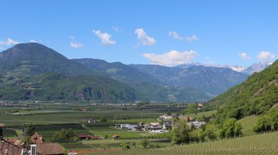 immagine della webcam nei dintorni di Bolzano: webcam Terlano