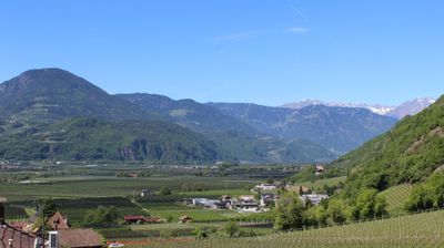 immagine della webcam nei dintorni di Bolzano Dolomiti: webcam Terlano