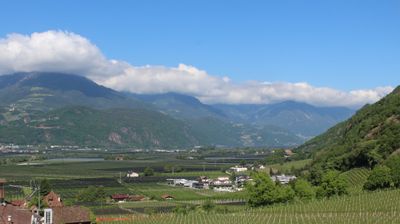 immagine della webcam nei dintorni di Bolzano: webcam Terlano