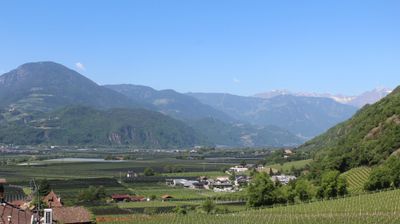 immagine della webcam nei dintorni di Bolzano: webcam Terlano