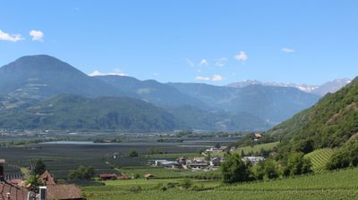 immagine della webcam nei dintorni di Laives: webcam Terlano