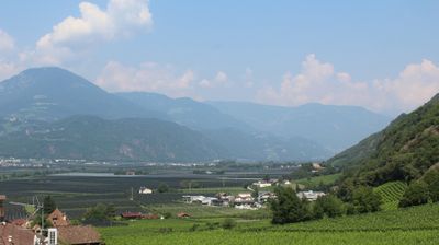 immagine della webcam nei dintorni di Caldaro sulla Strada del Vino: webcam Terlano