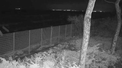 immagine della webcam nei dintorni di Castagneto Carducci: webcam Follonica