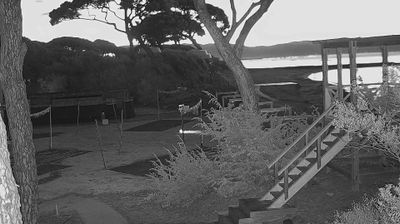 immagine della webcam nei dintorni di San Carlo: webcam Follonica