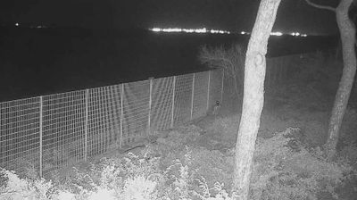 immagine della webcam nei dintorni di Bagno di Gavorrano: webcam Follonica