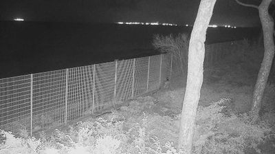 immagine della webcam nei dintorni di Rio Marina: webcam Follonica