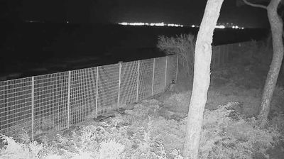 immagine della webcam nei dintorni di Gavorrano: webcam Follonica