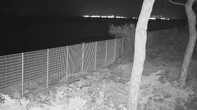 immagine della webcam nei dintorni di Castiglione della Pescaia: webcam Follonica