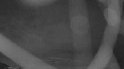 immagine della webcam nei dintorni di Asiago: webcam Lusiana